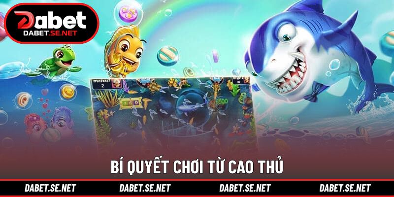 Bí quyết quay hũ thông minh