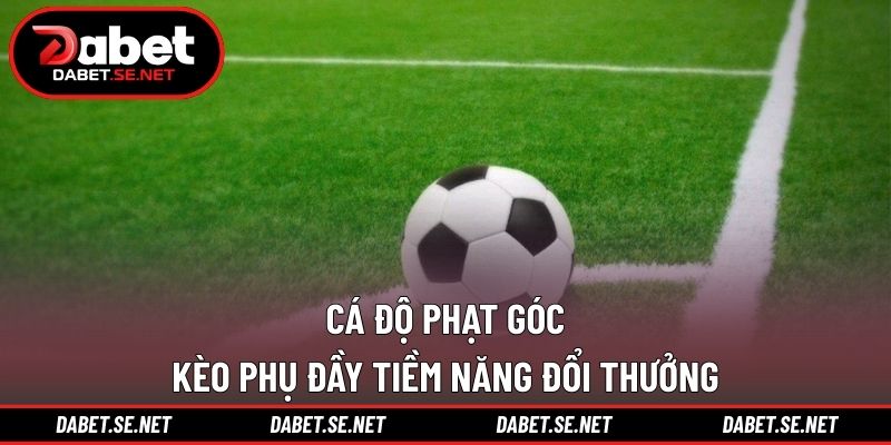 Cá Độ Phạt Góc