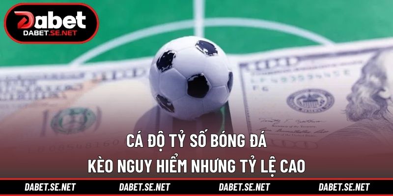 Cá Độ Tỷ Số Bóng Đá