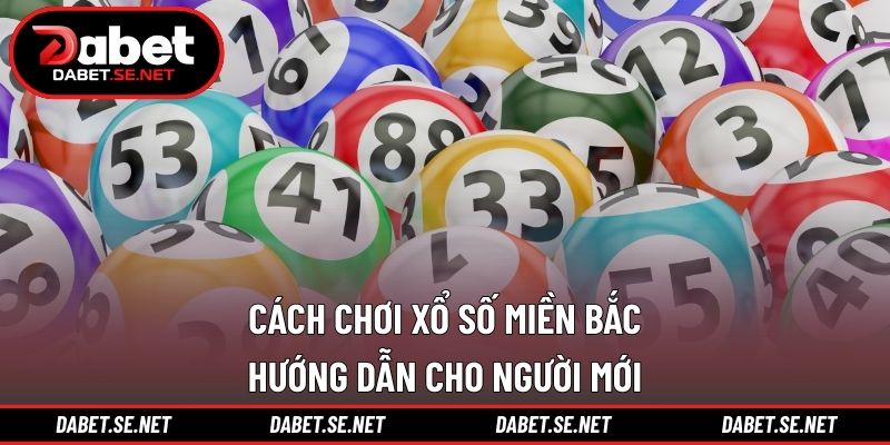 Cách chơi xổ số miền Bắc
