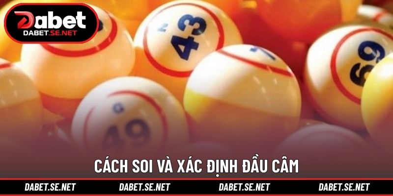 Cách soi và xác định đầu câm Cách soi và xác định đầu câm