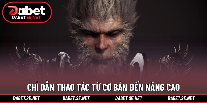 Chỉ dẫn thao tác từ cơ bản đến nâng cao Chỉ dẫn thao tác từ cơ bản đến nâng cao