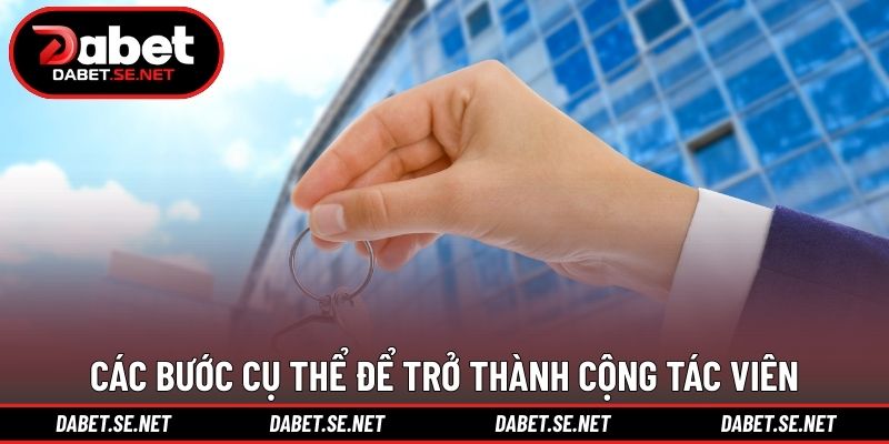 Chính sách đại lý DABET quản lý minh bạch Chính sách đại lý DABET quản lý minh bạch