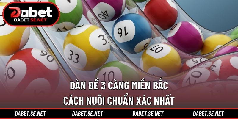 Dàn Đề 3 Càng Miền Bắc