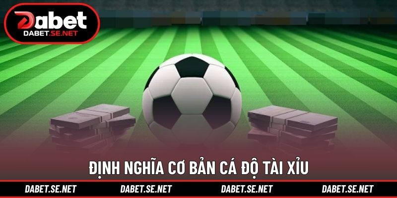 Định nghĩa cơ bản cá độ tài xỉu