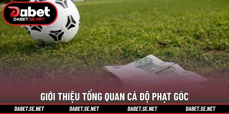 Giới thiệu tổng quan cá độ phạt góc