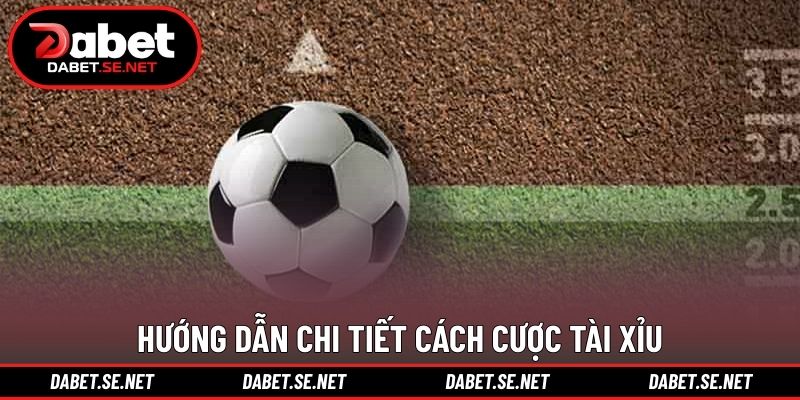 Hướng dẫn chi tiết cách cược tài xỉu