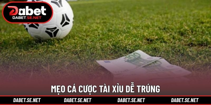 Mẹo cá cược tài xỉu dễ trúng