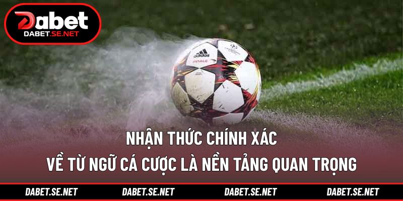 Nhận thức chính xác về từ ngữ cá cược là nền tảng quan trọng Nhận thức chính xác về từ ngữ cá cược là nền tảng quan trọng