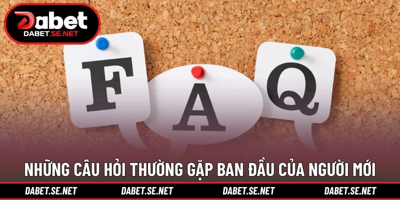 Những câu hỏi thường gặp ban đầu của người mới